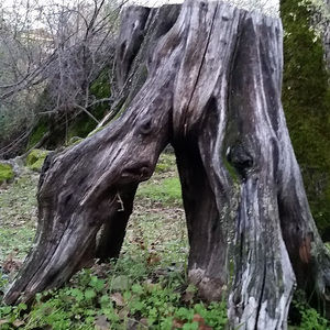 Meet your Posher, Elijah